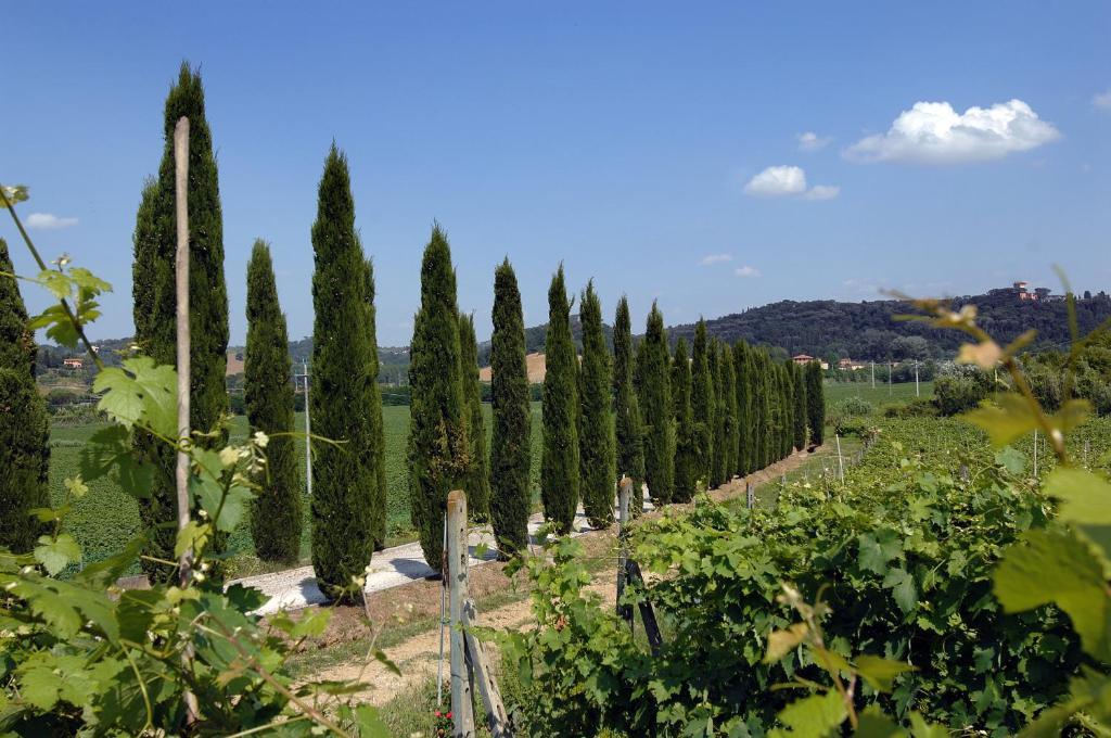 Agriturismo Buon Riposo - Country Resort In The Heart Of Tuscany San Giovanni a Corazzano Εξωτερικό φωτογραφία